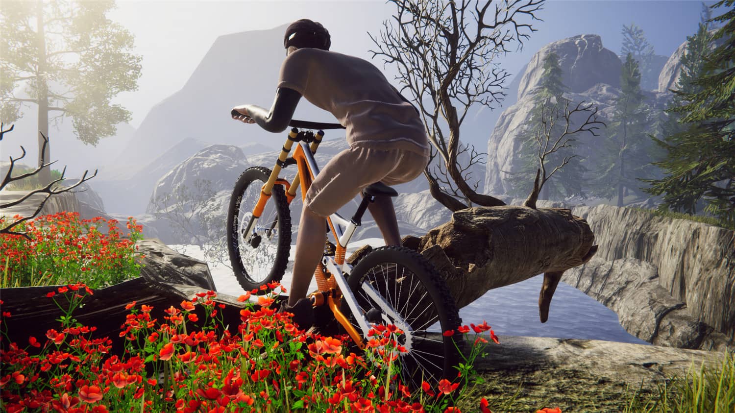 自行车骑手模拟器/Bicycle Rider Simulator v20221021