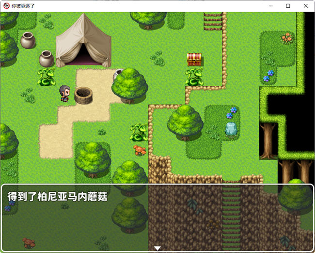 你被驱逐了 官方中文作弊版 PC+安卓 RPG游戏 1.2G